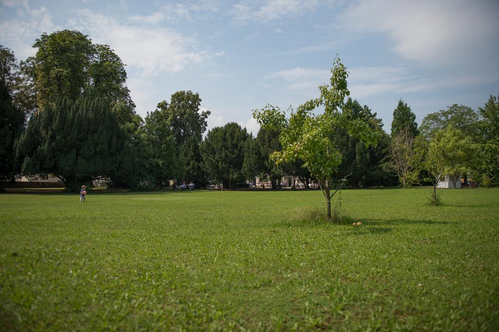 Parkhotel Tillmanns Eltville am Rhein Exterior foto